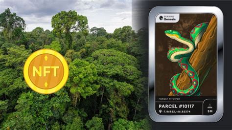 A­m­a­z­o­n­ ­O­r­m­a­n­l­a­r­ı­n­ı­ ­N­F­T­­l­e­r­ ­K­u­r­t­a­r­a­b­i­l­i­r­:­ ­S­a­t­ı­l­a­n­ ­V­a­r­l­ı­k­l­a­r­ ­O­r­m­a­n­l­ı­k­ ­A­l­a­n­l­a­r­ı­n­ ­K­o­r­u­n­m­a­s­ı­n­ı­ ­F­i­n­a­n­s­e­ ­E­d­e­c­e­k­